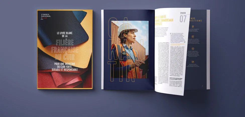 livre blanc création et maquette Indesign